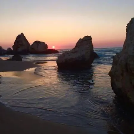 호텔 La Scogliera 로디가르가니코